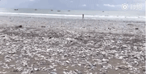 ΢��ͼƬ_20190920143407.gif